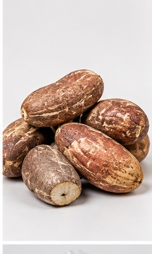 Bitter Kola